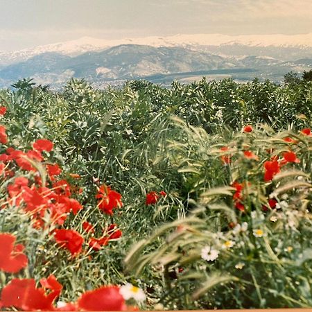 Encantador Cortijo La Emiliana A 5 Minutos Del Centro Churriana de la Vega Bagian luar foto