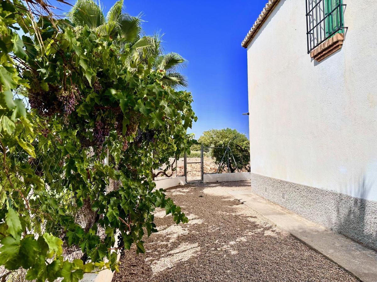 Encantador Cortijo La Emiliana A 5 Minutos Del Centro Churriana de la Vega Bagian luar foto