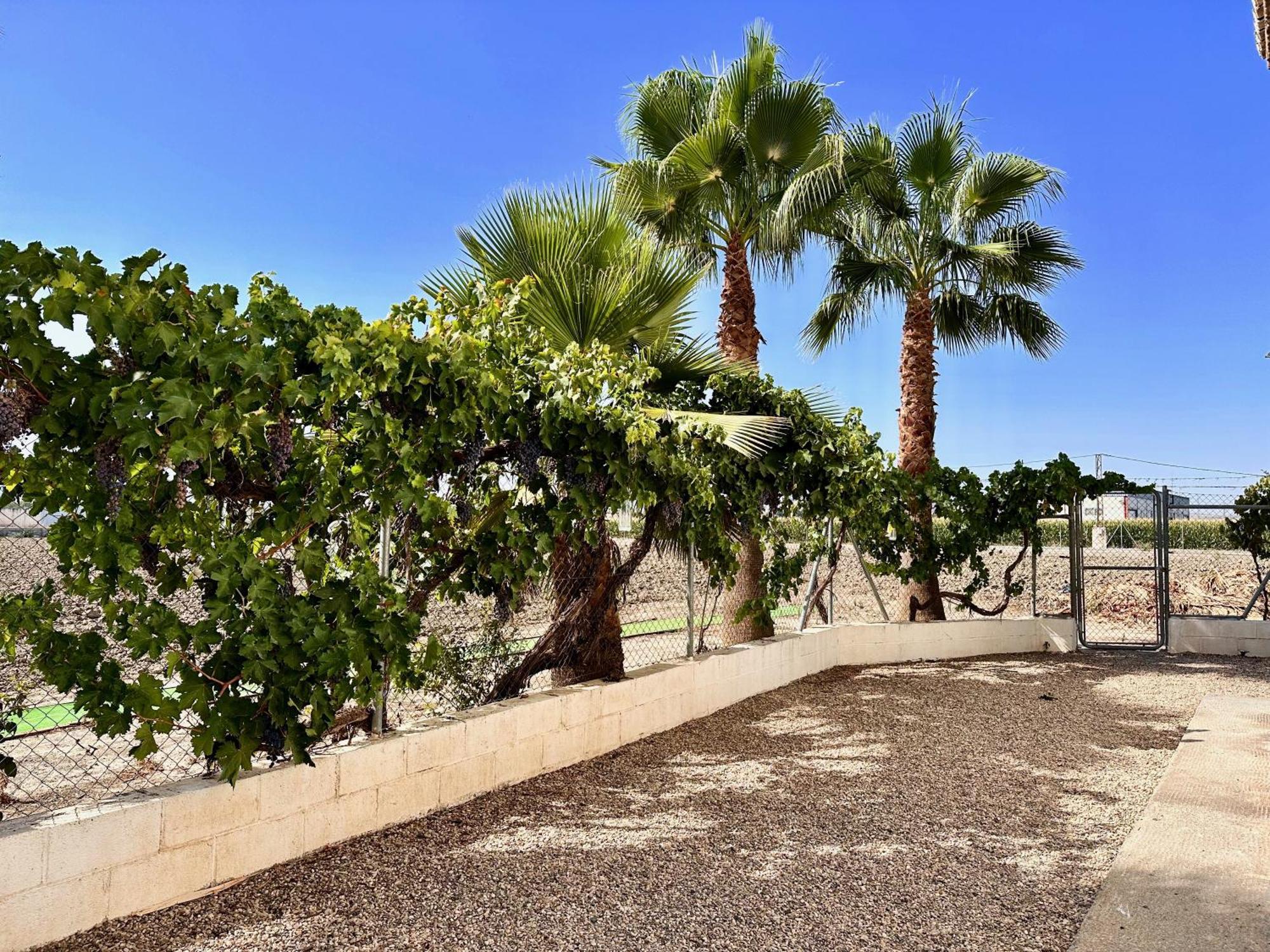 Encantador Cortijo La Emiliana A 5 Minutos Del Centro Churriana de la Vega Bagian luar foto