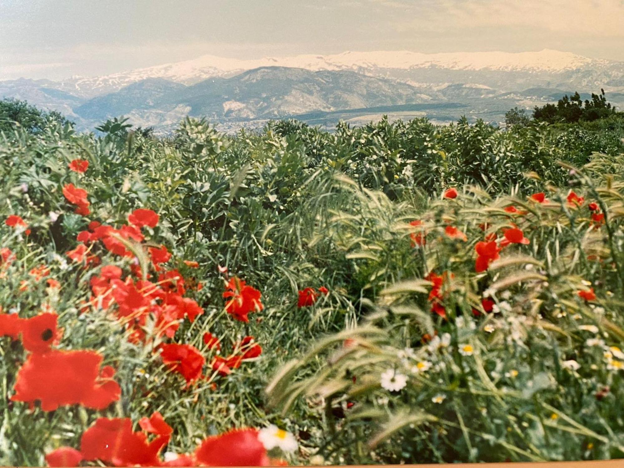Encantador Cortijo La Emiliana A 5 Minutos Del Centro Churriana de la Vega Bagian luar foto